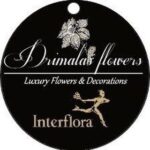 profile-image-ig-page-anthopoleia_drimalas